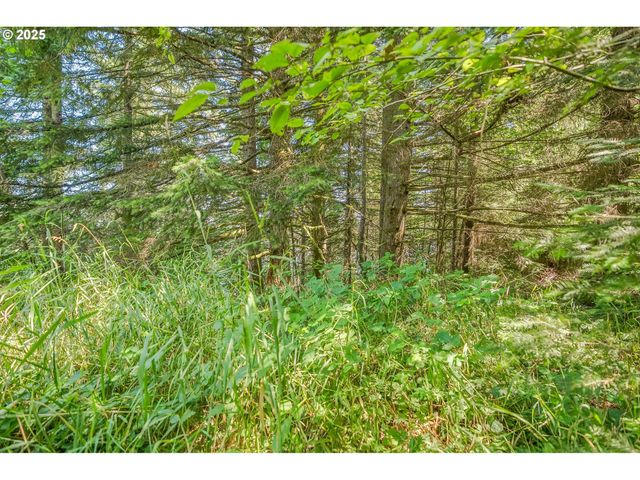 210 SCENIC Ln, Mossyrock, WA 98564