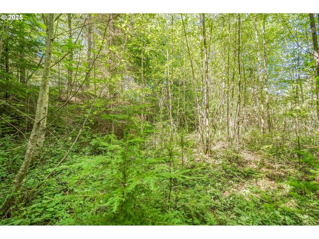 210 SCENIC Ln, Mossyrock, WA 98564