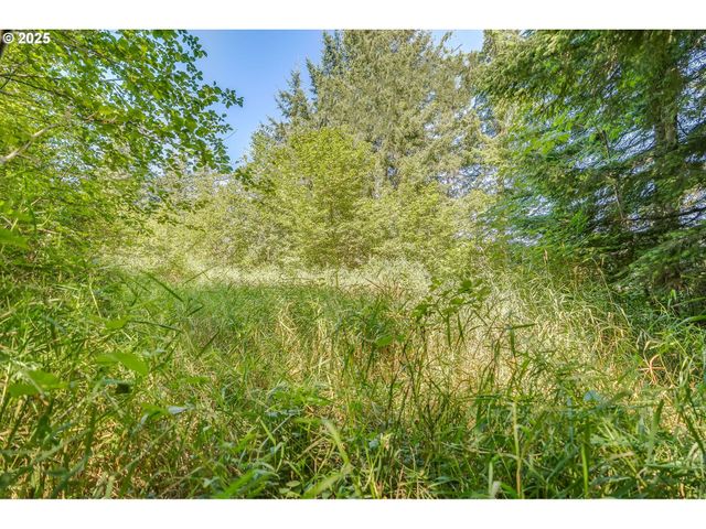 210 SCENIC Ln, Mossyrock, WA 98564