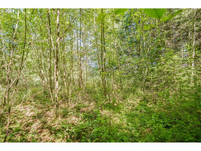 210 SCENIC Ln, Mossyrock, WA 98564