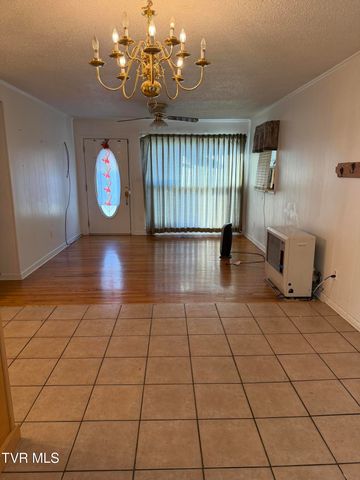 142 Cressview Rd Road, Mountain City, TN 37683