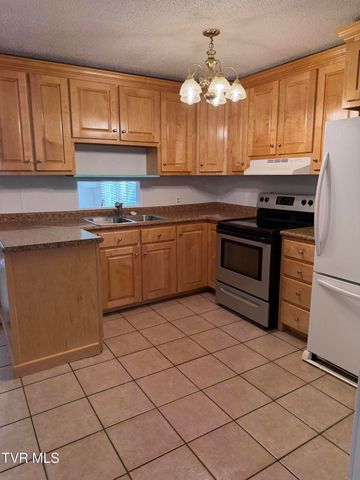 142 Cressview Rd Road, Mountain City, TN 37683