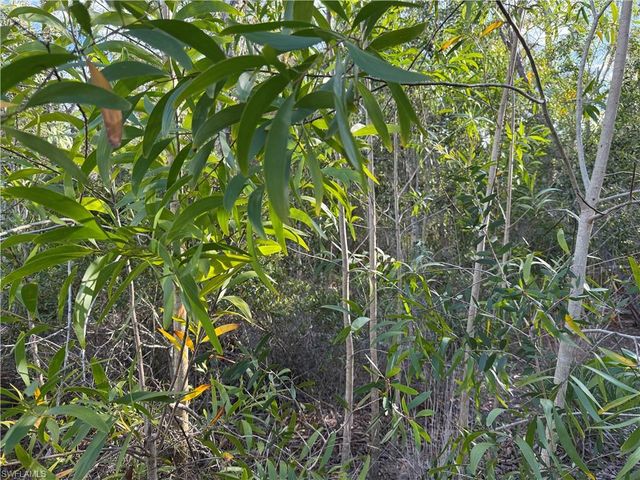 7091 Guava AVE, Bokeelia, FL 33922