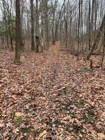 Wilsonville Road, Thompson, CT 06277