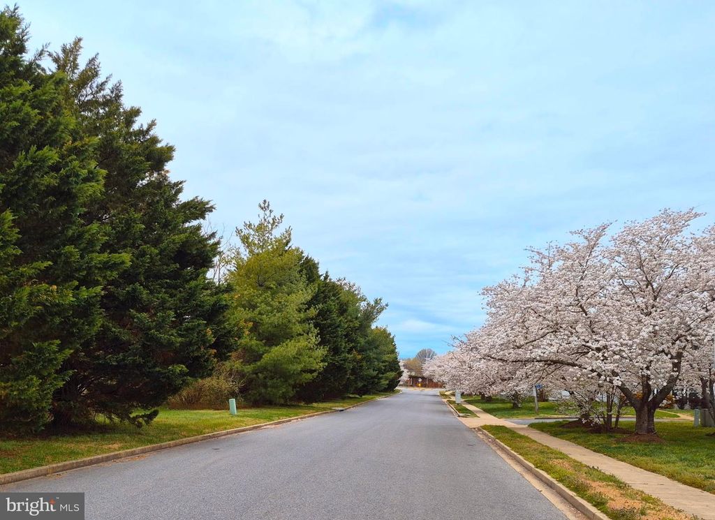 Image 32 of property listing at 22098 SAINT INIGOES CT, Great Mills, MD 20634