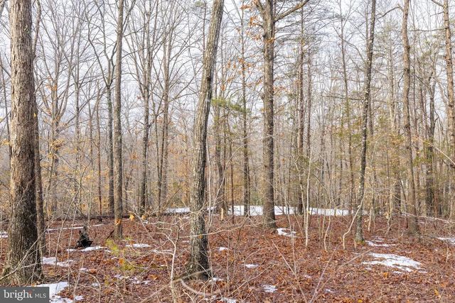 2481 YANCEYVILLE RD, Louisa, VA 23093