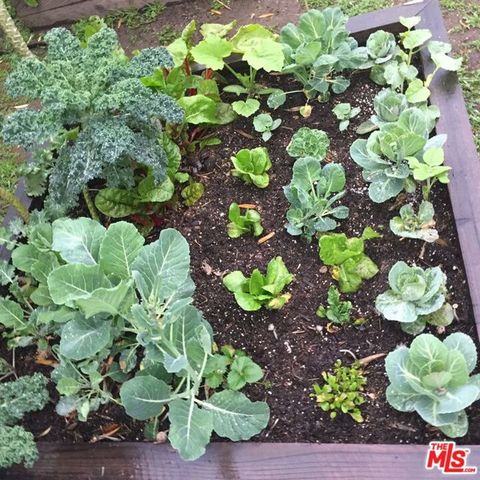 12909 Ida Avenue, Los Angeles, CA 90066