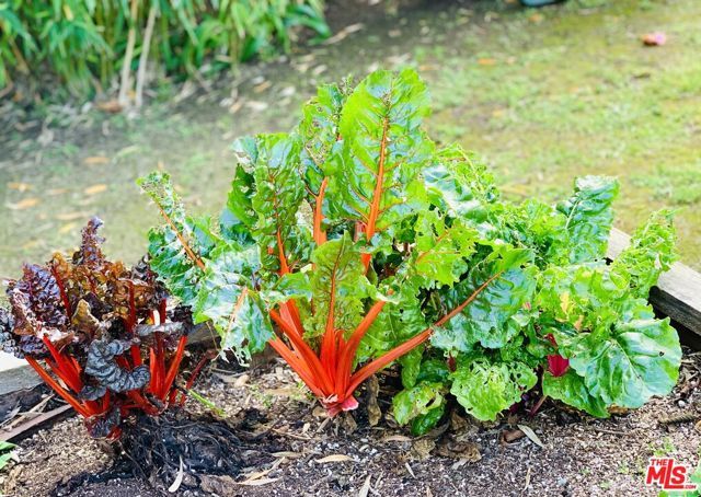 12909 Ida Avenue, Los Angeles, CA 90066