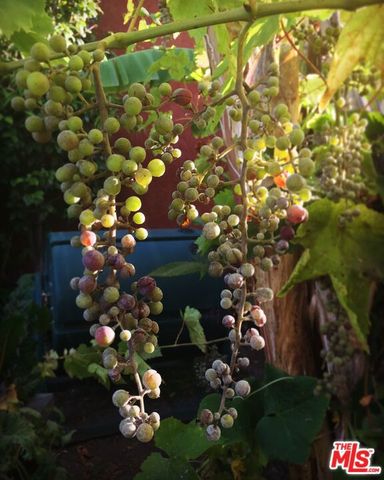 12909 Ida Avenue, Los Angeles, CA 90066