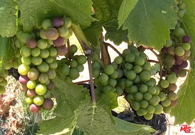 12909 Ida Avenue, Los Angeles, CA 90066