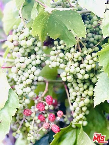 12909 Ida Avenue, Los Angeles, CA 90066