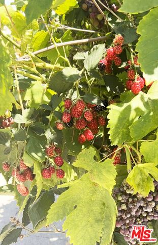 12909 Ida Avenue, Los Angeles, CA 90066