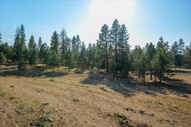 22309 W MCFARLANE Rd, Medical Lake, WA 99022