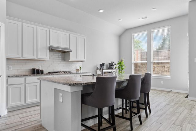 3605 Northstar Lane, Little Elm, TX 75068