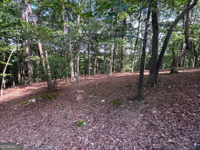 LOT 5 Westwood Avenue 5, Blairsville, GA 30512