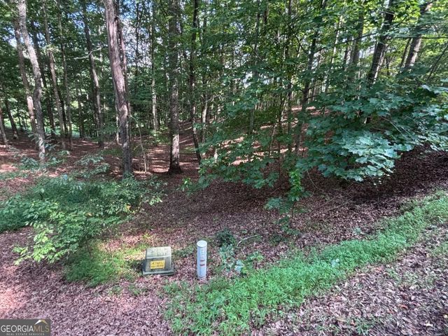 LOT 5 Westwood Avenue 5, Blairsville, GA 30512