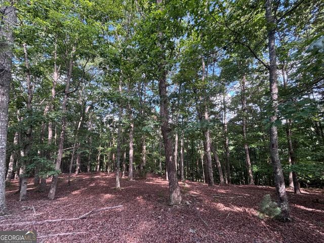LOT 5 Westwood Avenue 5, Blairsville, GA 30512