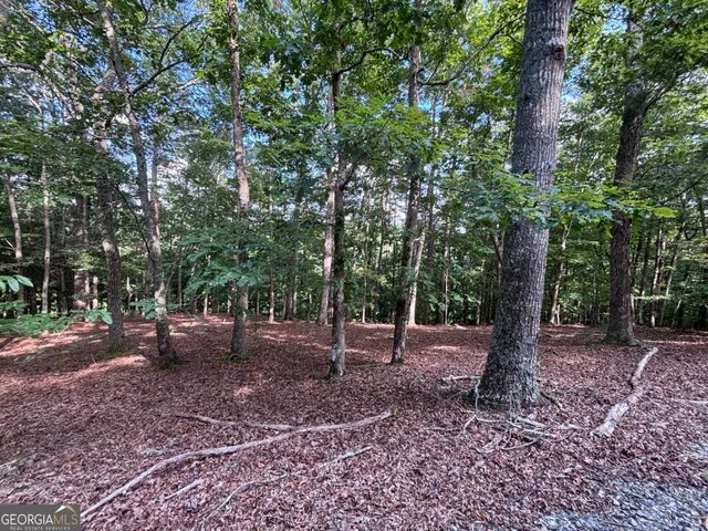 LOT 5 Westwood Avenue 5, Blairsville, GA 30512