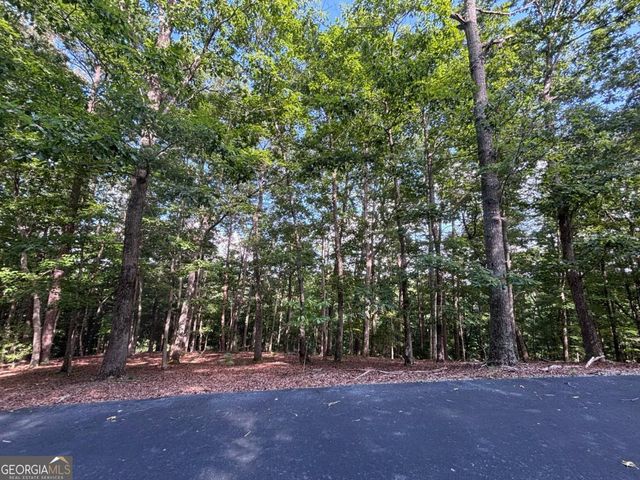LOT 5 Westwood Avenue 5, Blairsville, GA 30512