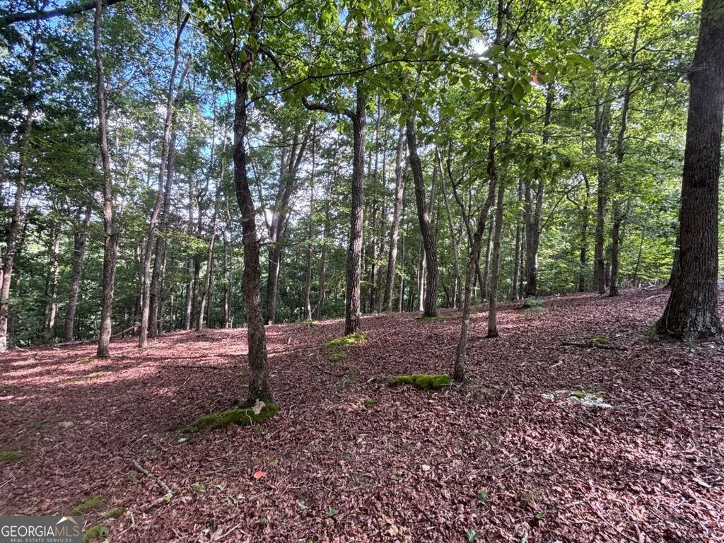 LOT 5 Westwood Avenue 5, Blairsville, GA 30512