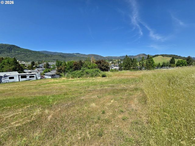 0 CEDAR St 36, Riddle, OR 97469