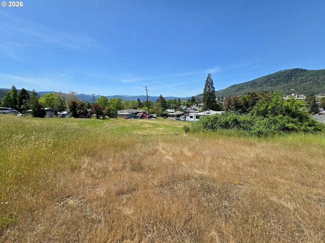 0 CEDAR St 36, Riddle, OR 97469