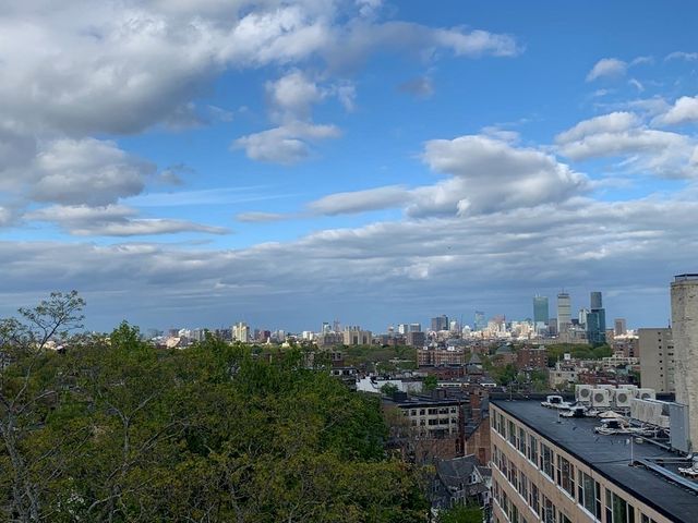 1450 Beacon Street 504, Brookline, MA 02446