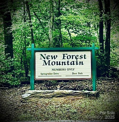 0 The Falls Road 2, Union Mills, NC 28167