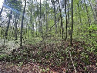 112 Bear Den Trl, Grandview, TN 37337