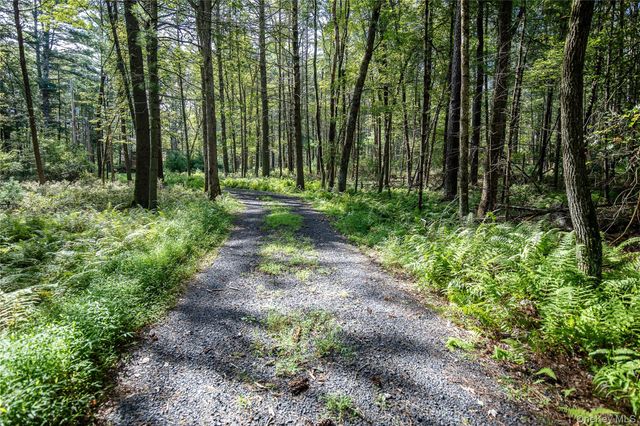 30 Woods Road, Yulan, NY 12792