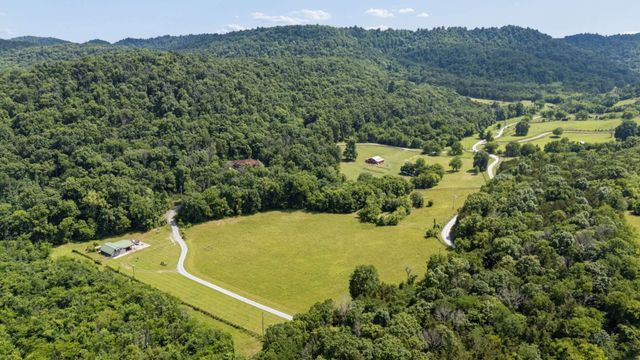 7746 Dismal Hollow Rd, Christiana, TN 37037