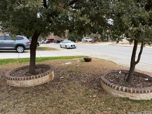 20311 Oak Panache, San Antonio, TX 78259