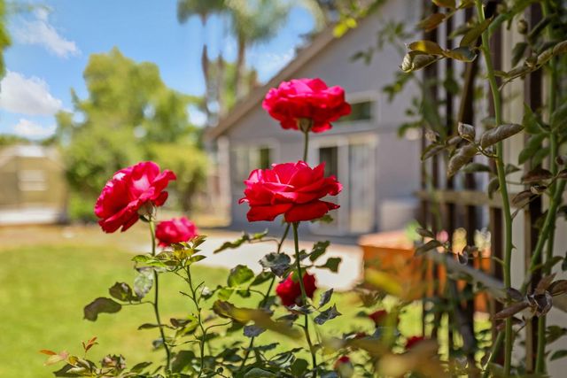1935 Foxtail Ct, Tracy, CA 95376