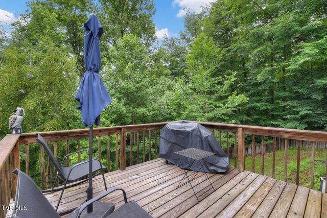 1037 Surmont Court, Kingsport, TN 37660