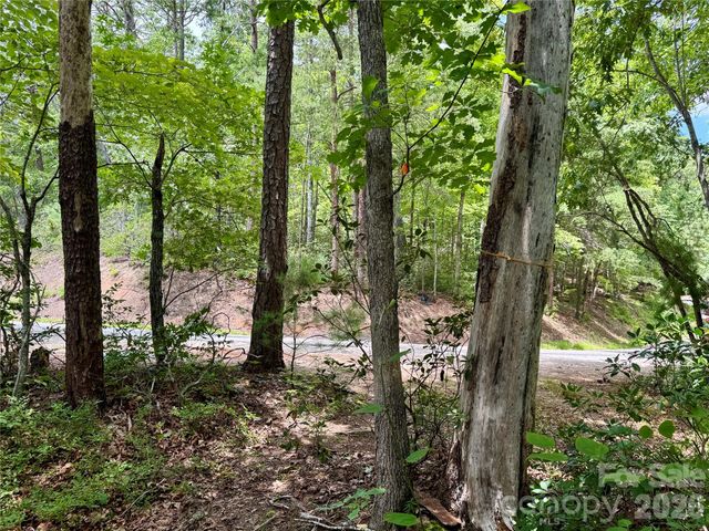 307 Fairway Drive, Lake Lure, NC 28746