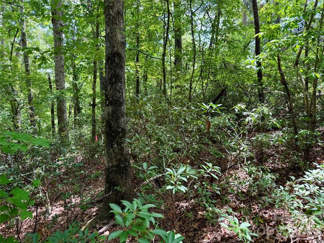 307 Fairway Drive, Lake Lure, NC 28746