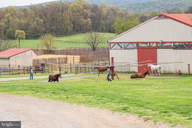 3637 MILLWOOD RD, Boyce, VA 22620