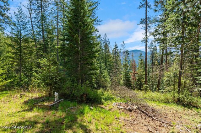 1142 Salee Creek RD, Bayview, ID 83803