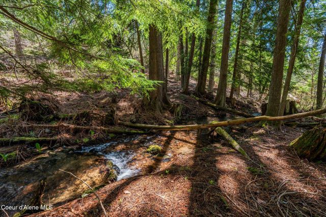 1142 Salee Creek RD, Bayview, ID 83803
