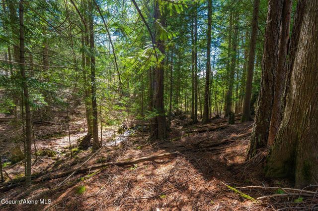 1142 Salee Creek RD, Bayview, ID 83803
