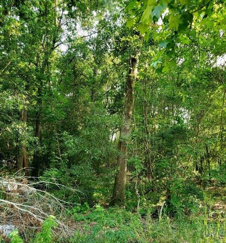 0 Holly Ridge Rd, Porter, TX 77365