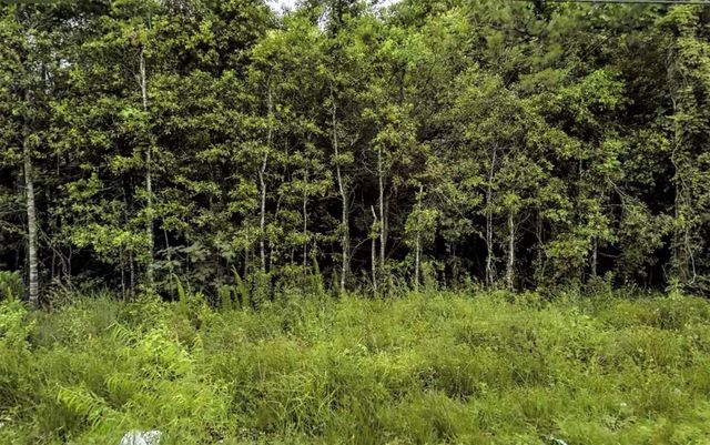 0 Holly Ridge Rd, Porter, TX 77365