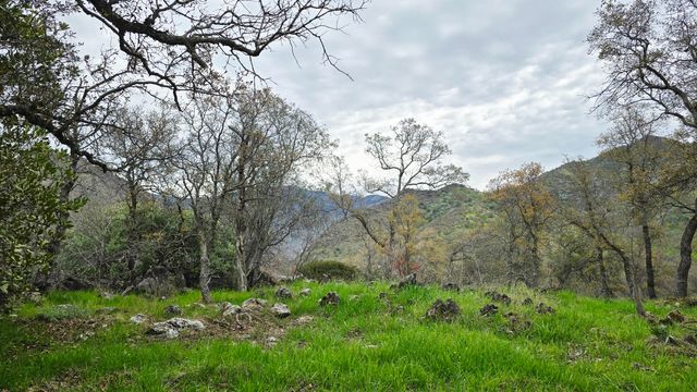 40838 Oak Ridge Drive, Three Rivers, CA 93271