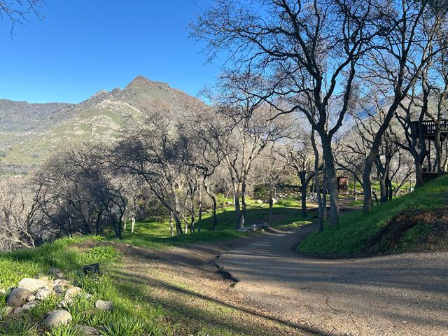 40838 Oak Ridge Drive, Three Rivers, CA 93271