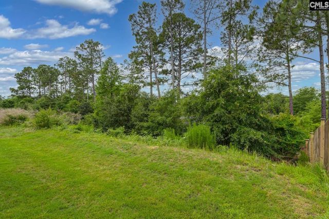 608 Frow Drive, Elgin, SC 29045