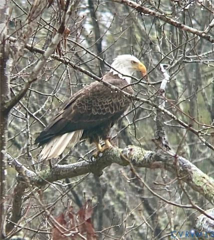 4042 Cambrian Cir, Midlothian, VA 23112