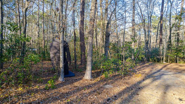 1644 Ranger Drive, Cross, SC 29436