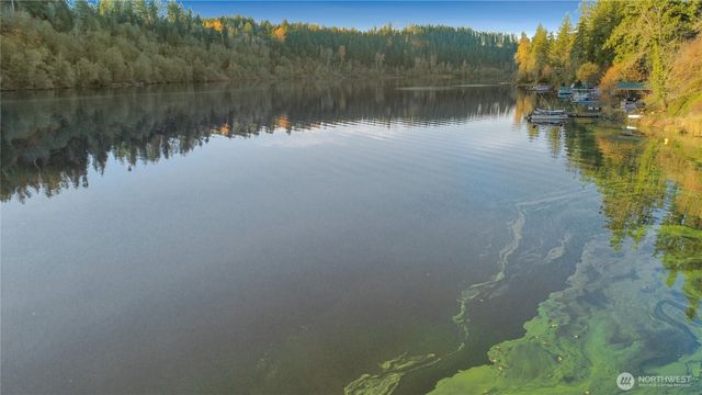 40424 Ski Park Road E, Eatonville, WA 98328