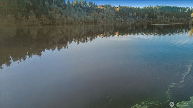 40424 Ski Park Road E, Eatonville, WA 98328