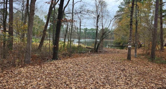 14141 CR 1237, Tyler, TX 75703